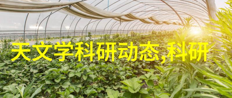 在国际贸易中国家市场监督管理局扮演了怎样的作用