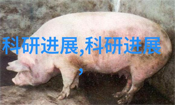 中国高品质PE管材生产商专业供应工业用PE管