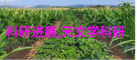 零部件的定义我是如何学会认识那些小东西的
