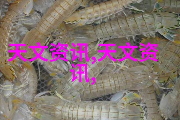 心理学大师们的挑战十大变态心理测试题揭秘人心深处的怪异面纱