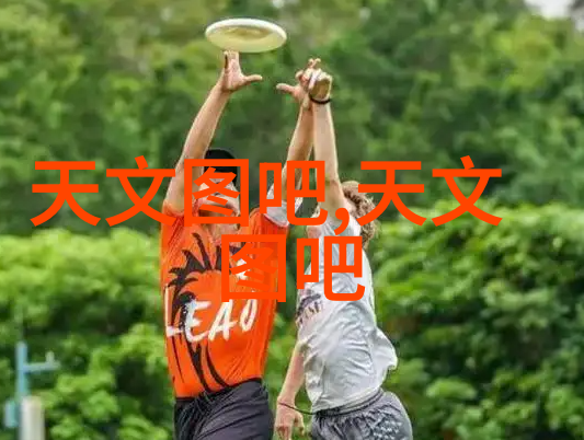 分选机型号智能农场设备选择