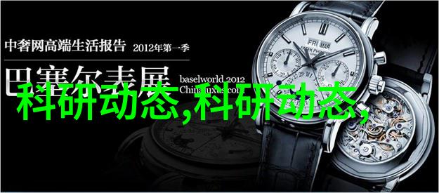 个人工作汇报项目进展与未来规划