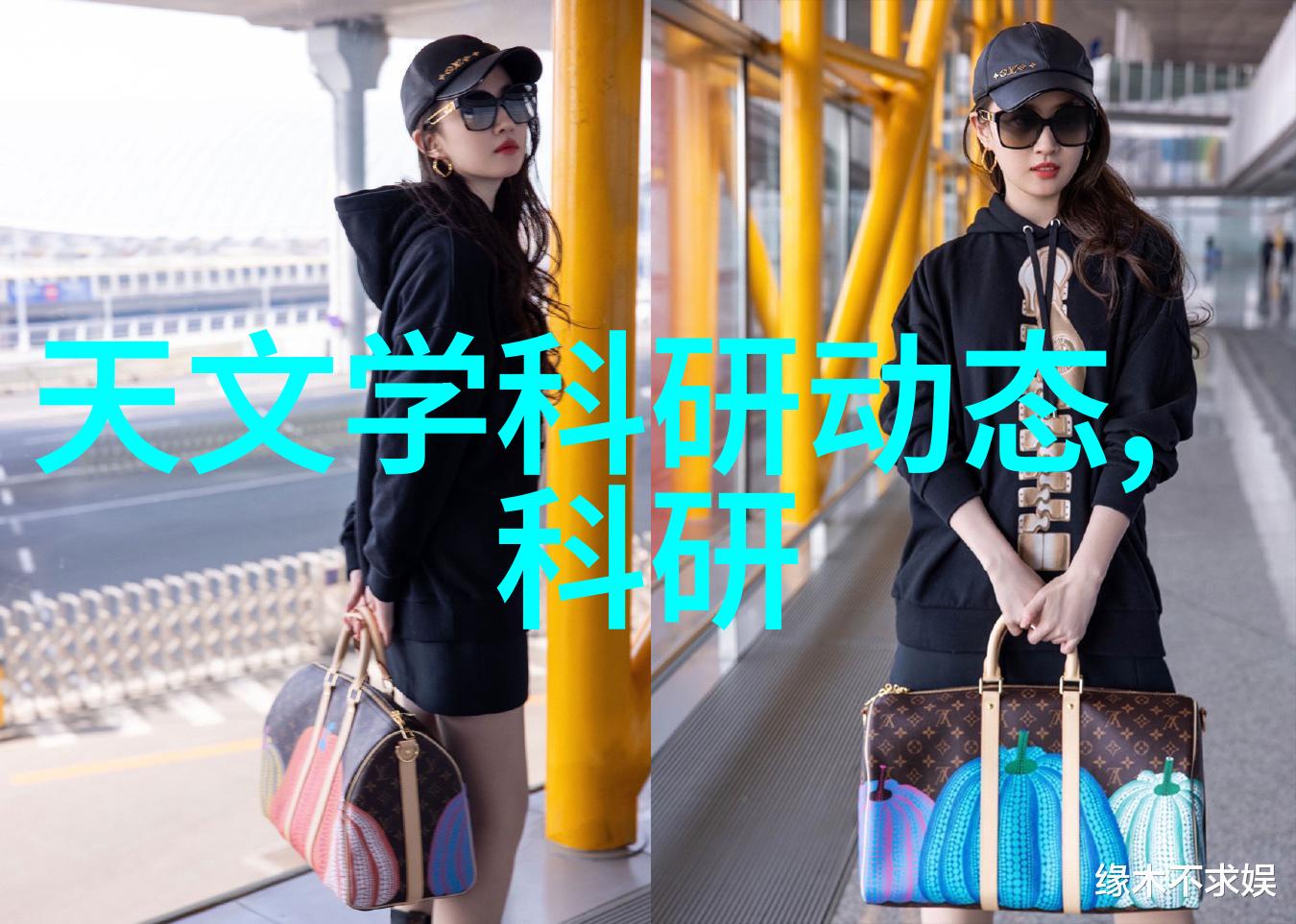 两者在化学稳定性上的表现如何比较