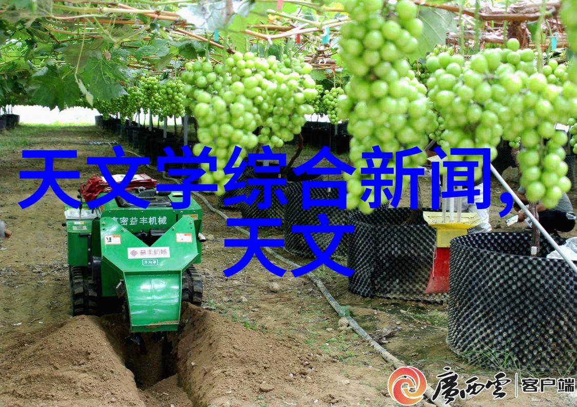 中南财经大学在经济学研究领域的成就与展望