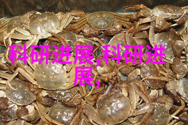 国家认可的软件测评机构技术守护者在数字世界中的角色与影响