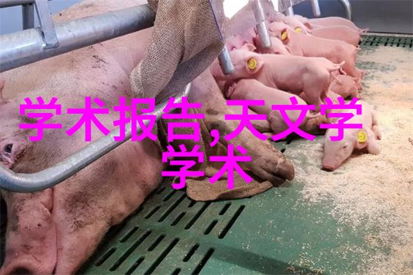 不锈钢金属丝网填料耐腐蚀的隔音与隔热解决方案