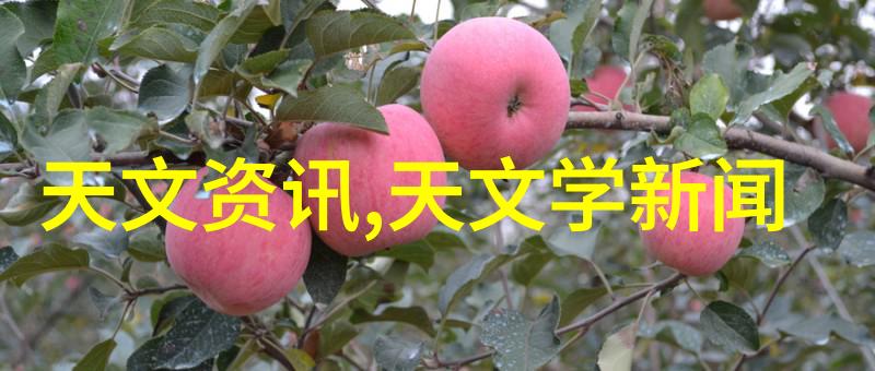 不锈钢304价格走势分析每米成本如何