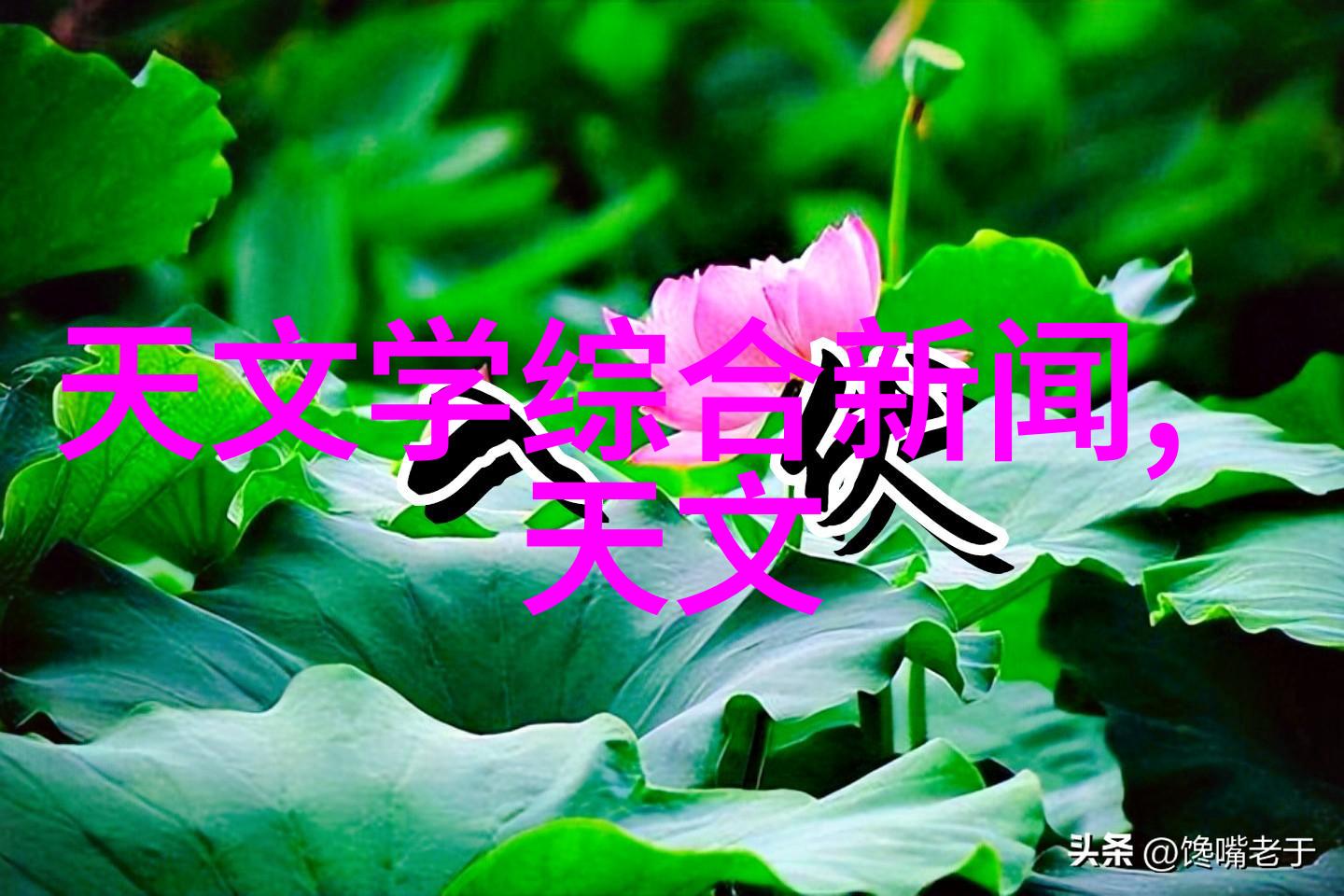 远传电表我是怎么发现自己家里的电费账单总是那么高的