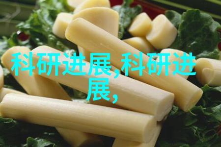 撰写高效报告书的艺术技巧与范文解析