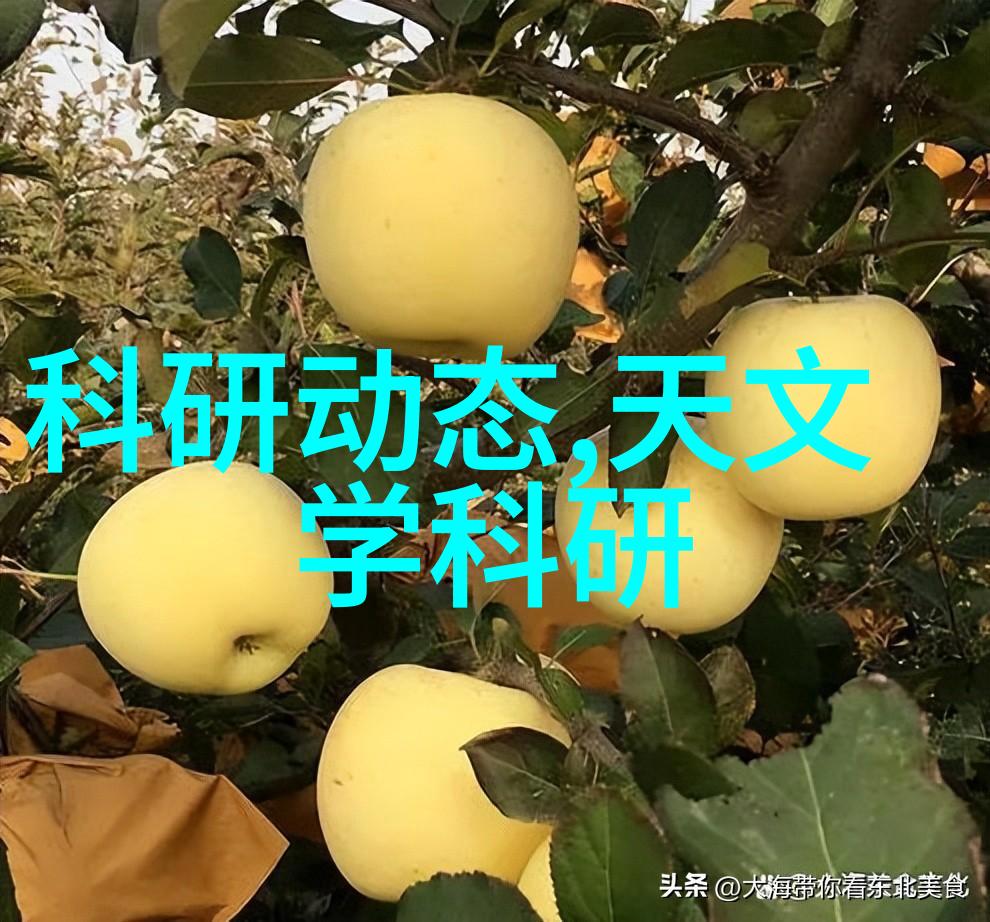 干燥设备生产厂家-高效低能耗探索未来干燥技术的革命