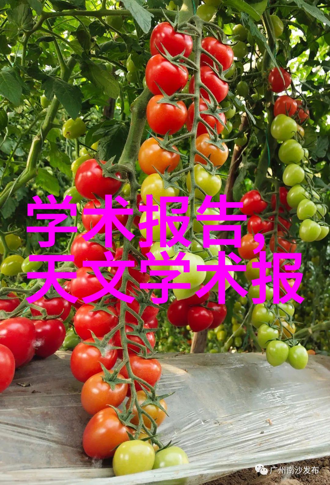 针对不同级别的危险微organism医院应该选用何种类型的生物安全柜