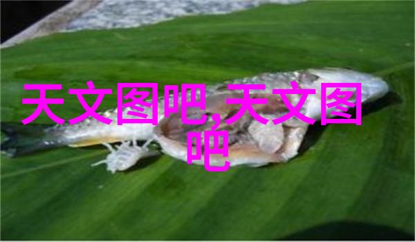 家用中药萃取机-轻松在家制备传统疗愈之宝