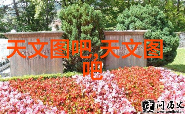 丙烷有机化合物气体状碳氢化合物