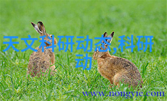技术革新与设计创新不锈钢波纹填料的发展历程