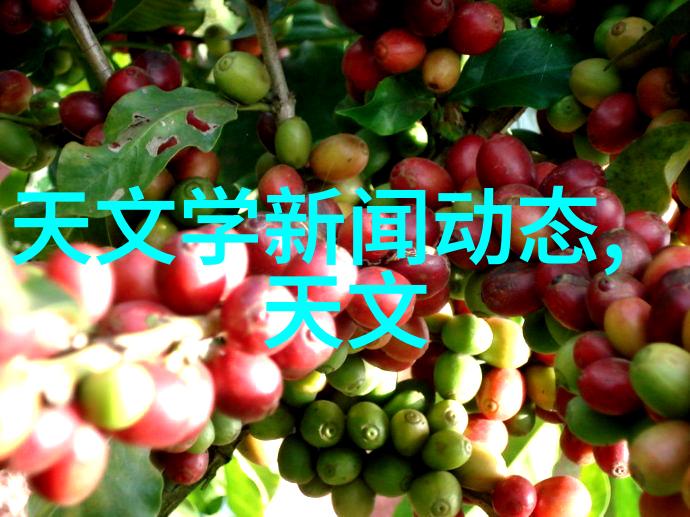 田原蝴蝶翩跹在风中传唱古韵