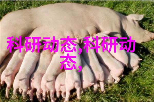 轻薄帝师全文免费阅读来试试这款游戏的魅力吧