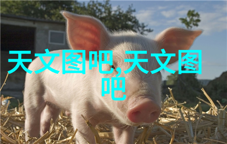 环境安全第一危废处置第三方服务公司的专业使命