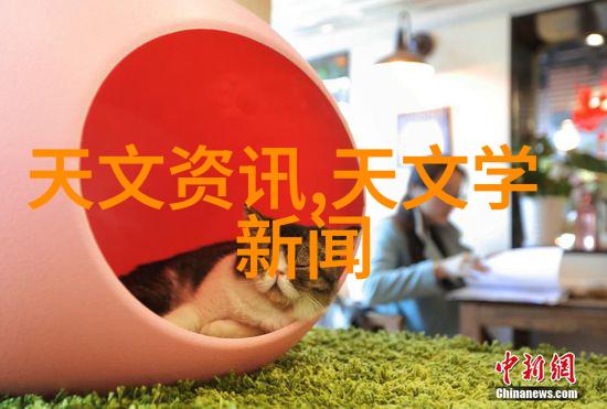 清澈河流下的污染密室