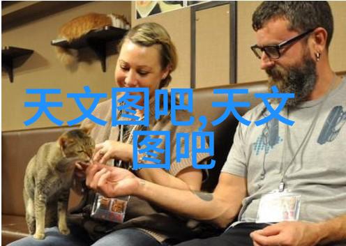 水洗机设备-清洁高效的现代农业助手深入探究水洗机设备的工作原理与应用场景