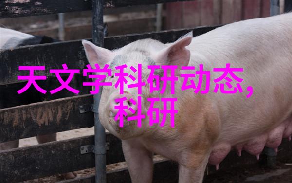 罗茨真空泵的工作原理能否简单解释一下