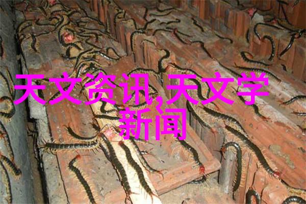 iPhone新品发布重塑未来智能手机体验的革命性设计