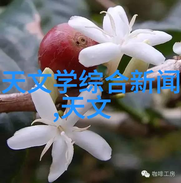 清新与威胁通道式自动喷淋消毒系统的双重面纱