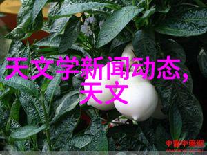 佛子心意每晚的渡轮