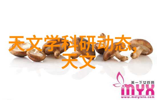 瑷瑷瑷探索一段时光的独特魅力