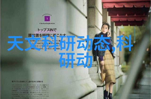 提升物流效率不同行业中输送机设备的应用案例
