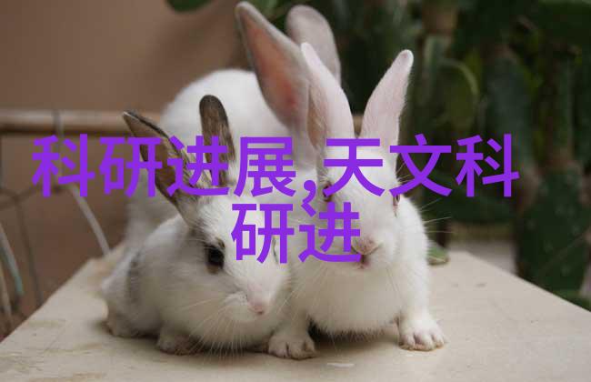 家庭生活中的小型一体化污水处理器功能与维护