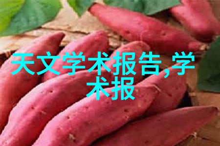 输送带的智慧运输效率与可靠性的双重奏鸣