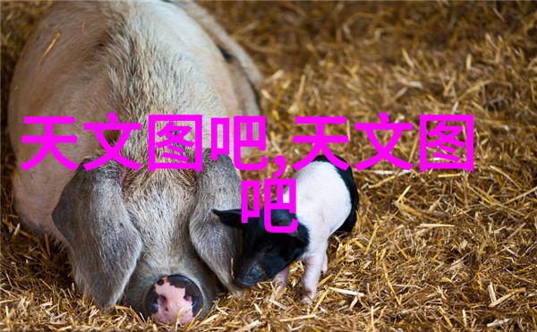 红外线杀菌设备在医疗行业中的应用探究