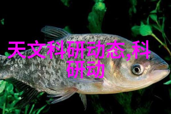顾道长生穿越时空的秘密守护者