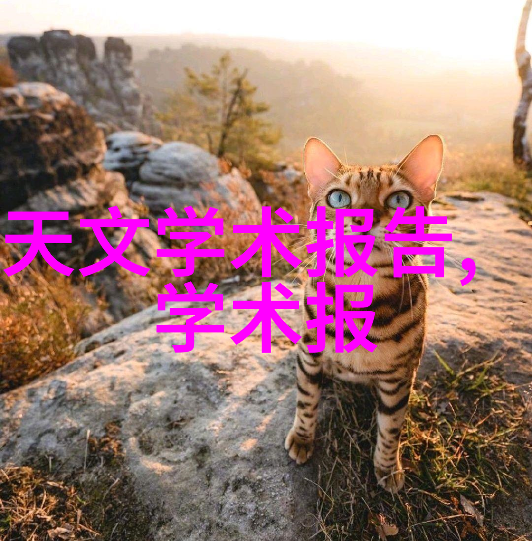 年度成就回顾精心策划的年终工作总结报告PPT