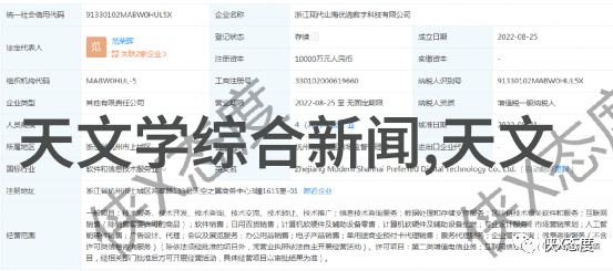 全屋定制家具的设计理念与空间功能优化研究