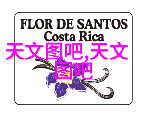 丝网填料阻力的影响机制与流化工艺中的应用探究