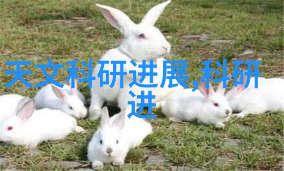 不锈钢丝网填料耐腐蚀的材料选择