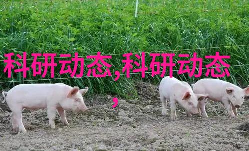 工业原料的主要来源与种类概述