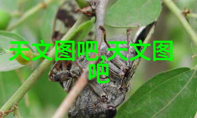 吸收器的智慧如何提高能量利用效率