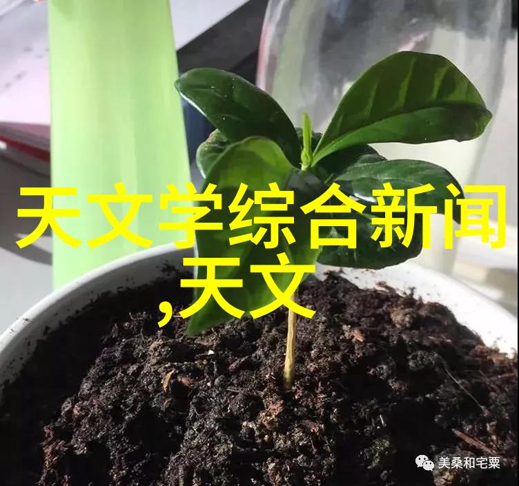包衣机械是不是真的能替代人力