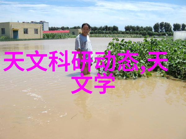 蒸汽发生器-火力与效率的双重驱动 探索现代工业中不可或缺的关键设备