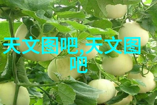 探索食用菌灭菌设备多样性热压灭菌微波消毒与高频振动技术的应用