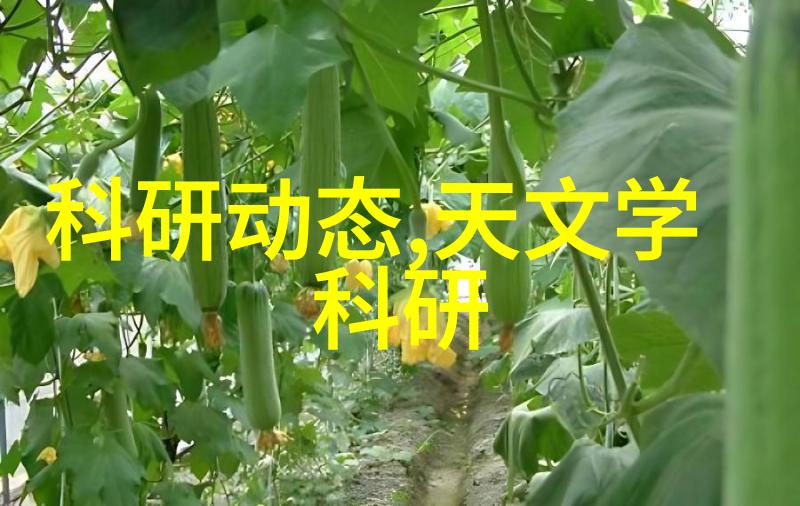 PE排水管材与其他材料相比具有哪些优势