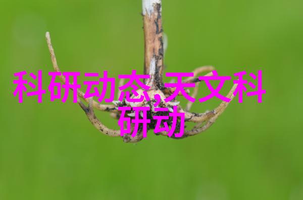 巨星的小矫情华丽的戏剧表演