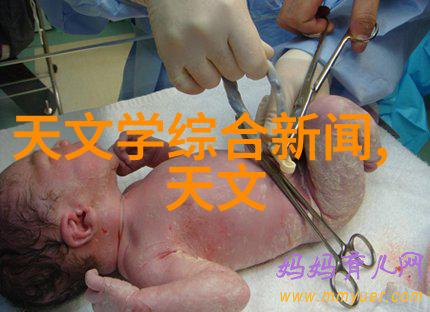 带式干燥设备维护与保养指南