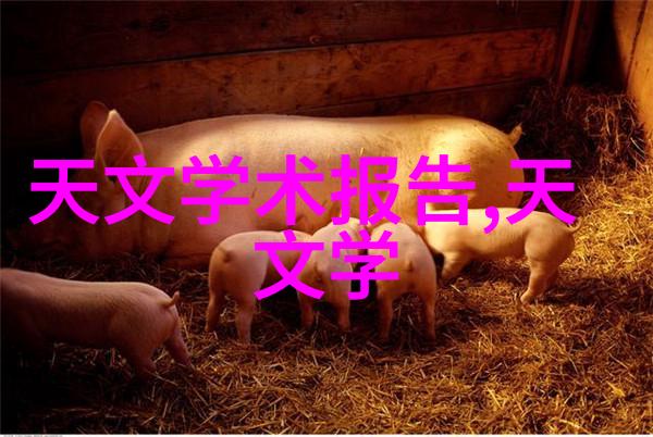 回声中的梦想好想做一次第八集最后的歌曲