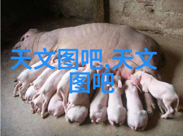 不锈钢波纹填料供应-高品质波纹网材料解决方案供需一体