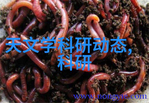 解析水源健康正常水质指标的科学标准与监测方法