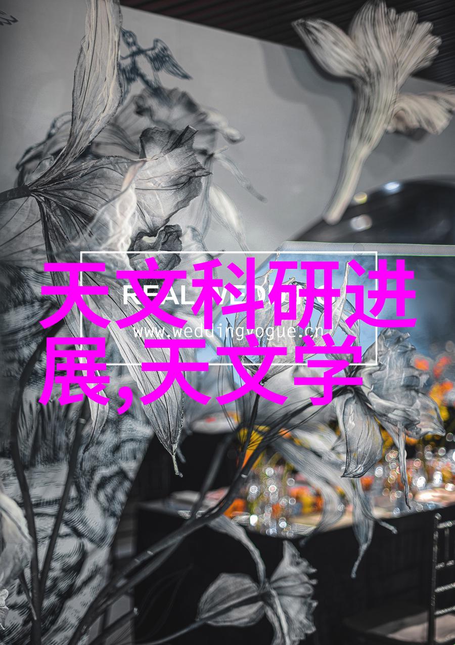 家用不锈钢制品的视觉文化研究解读其在现代居住空间中的视觉语言与社会意义