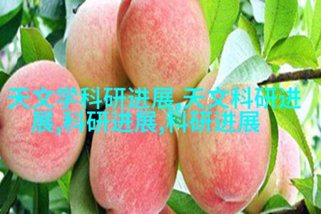 浩业网络